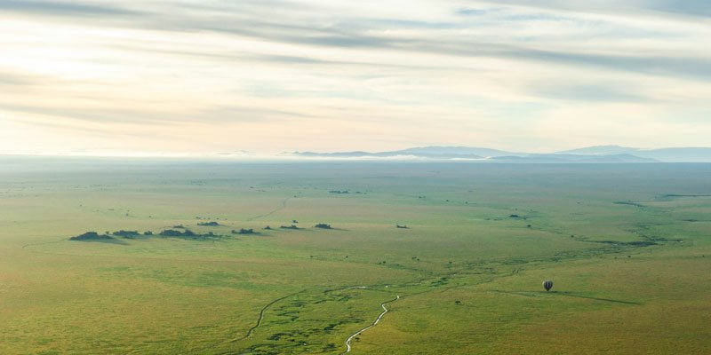 La serengeti