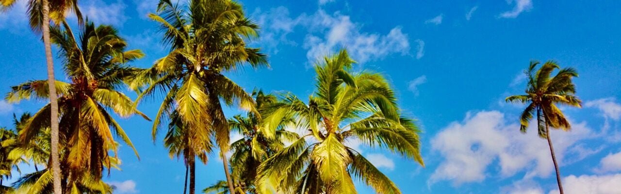 Vacances Zanzibar